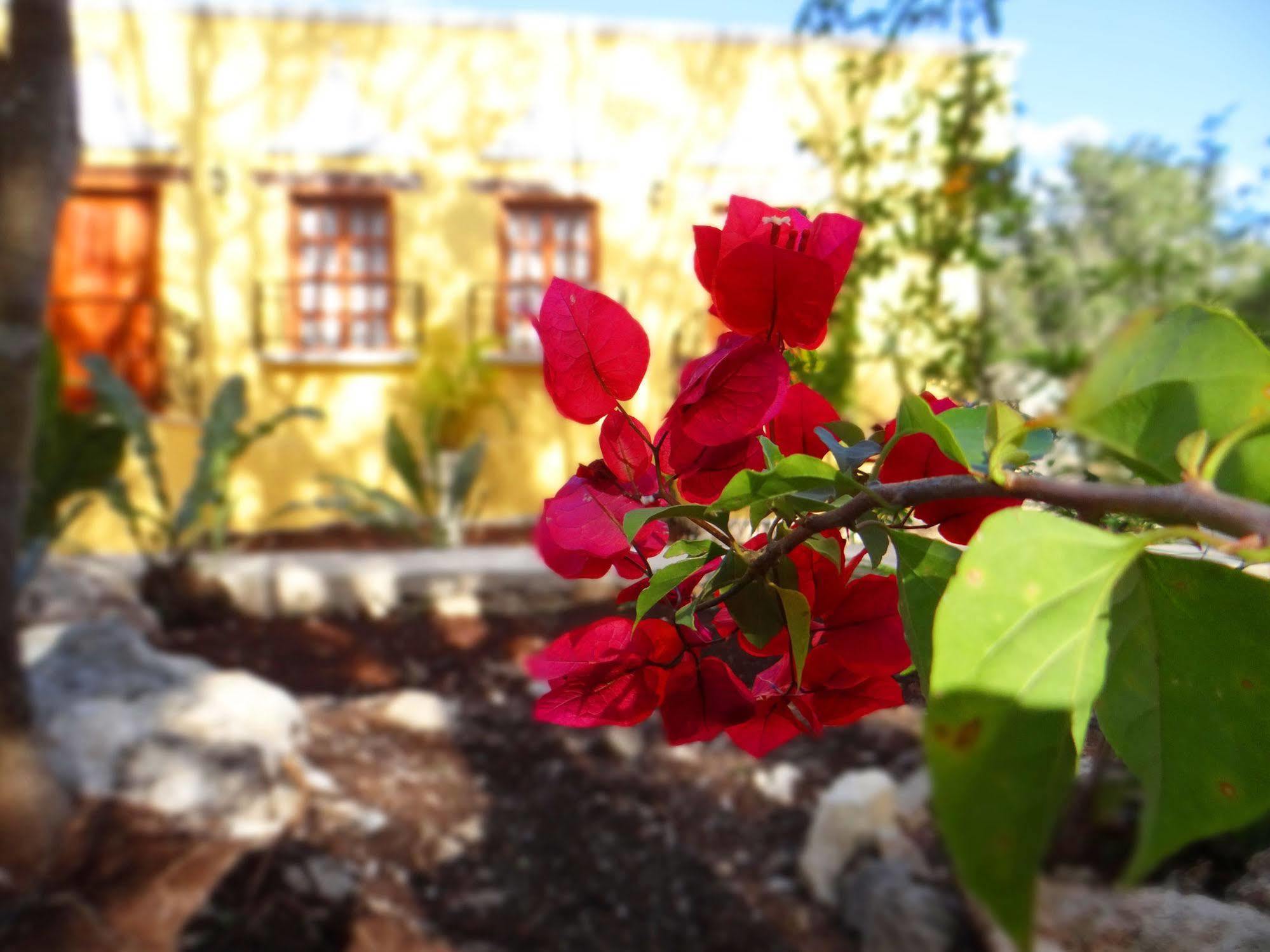 Bed and Breakfast Hacienda Cobá Exterior foto